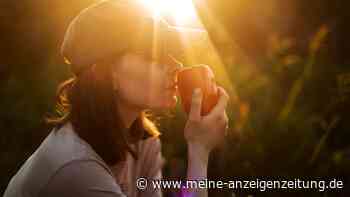 Paprika aussäen: 5 einfache Tipps für eine reiche Ernte