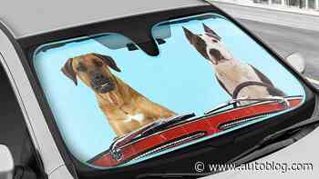 Best Car Sun Shades for 2023