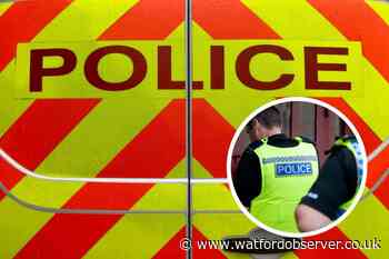 Police explain putting down seized dog of banned breed