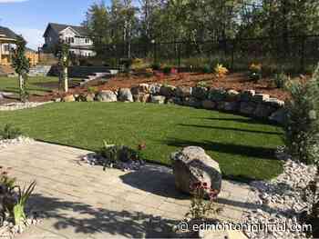 Save on maintenance with synthetic grass