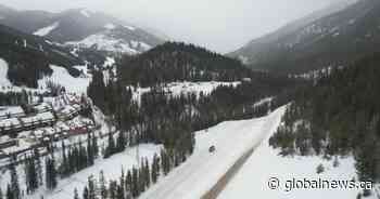25-year-old man who survived B.C. avalanche lost father, brother in law, family friend in slide