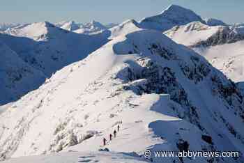 Three men killed in southeast B.C. avalanche were from Germany: news agency