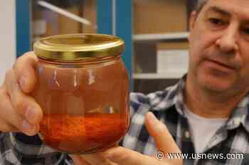 Archaeologists Find Well-Preserved 500-Year-Old Spices on Baltic Shipwreck