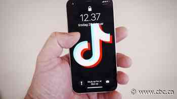 TikTok bans distract from wider privacy concerns, says digital rights advocate