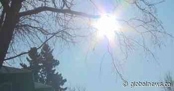 Colder temperatures in forecast prompts extreme weather response: City of Edmonton