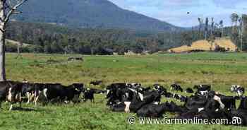 Global milk production sails ahead but Australia stuck in doldrums