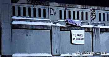 Animal rights activists say they hung pigs from Montreal overpasses