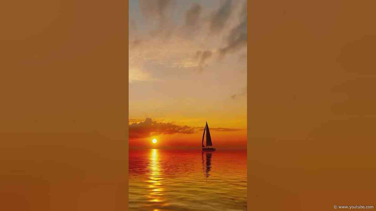 Who Couldn't Use More Of This In Their Life Right Now?