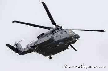 Ottawa on hook for software glitch that caused deadly military helicopter crash