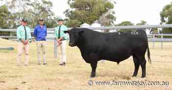 Stellar result from Koojan Hills Stellar S58