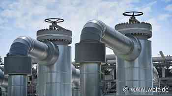 FDP warnt vor „Einstieg in staatliche Energie-Planwirtschaft“