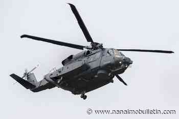 Ottawa on hook for software glitch that caused deadly military helicopter crash