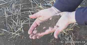 Extreme wind causes concerns of soil erosion in Alberta agriculture industry