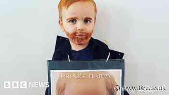 World Book Day: Redhill boy, 3, dresses as Prince Harry