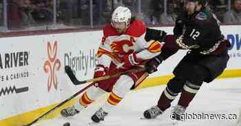 NHL’s first brother for brother swap headlines Flames trade deadline day