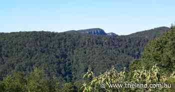 Native forestry proves worth