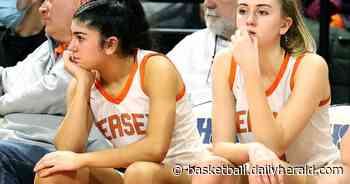 Hersey's comeback falls short in state semifinals