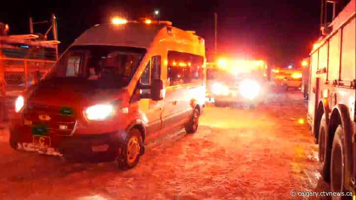 People and animals dead in apparent carbon monoxide incident