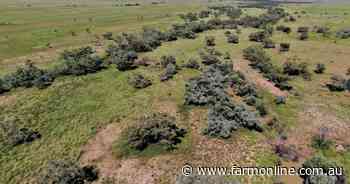 Efficient, high weight gain country for 3100 cattle
