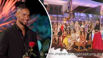 „Der Bachelor“ vor dem Aus? Schlechtester Start bei RTL aller Zeiten