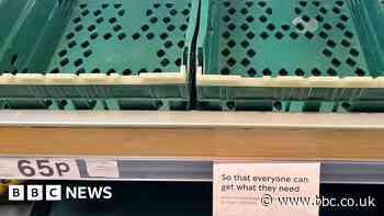 Tomato shortage: How far is Brexit to blame?