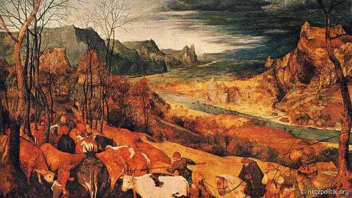 Transparenzbericht Dezember 2022: Unsere Einnahmen und Ausgaben und die allerbeste Spendenkampagne