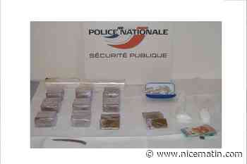 Les saisies de cocaïne et de cannabis en forte hausse dans les Alpes-Maritimes