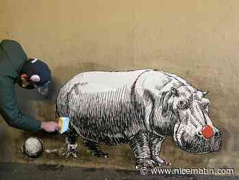 Un artiste croque le malheur de l’hippopotame Jumbo du cirque Zavatta sur un mur de Nice