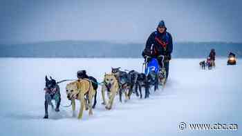 A race to remember, a tradition to treasure: New musher competes in first dog sled race