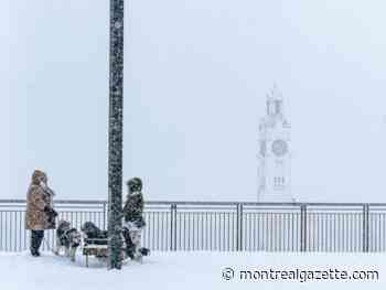 Montreal weather: A windy roar and a snowfall warning