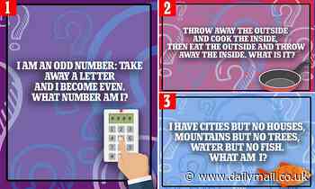Can you score better than ChatGPT in this riddles quiz?
