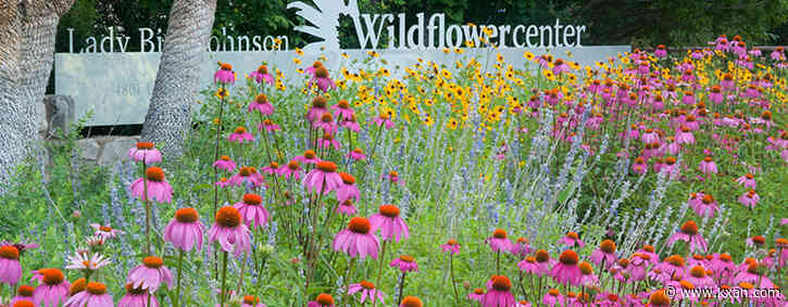 Spring things to do in and around Austin