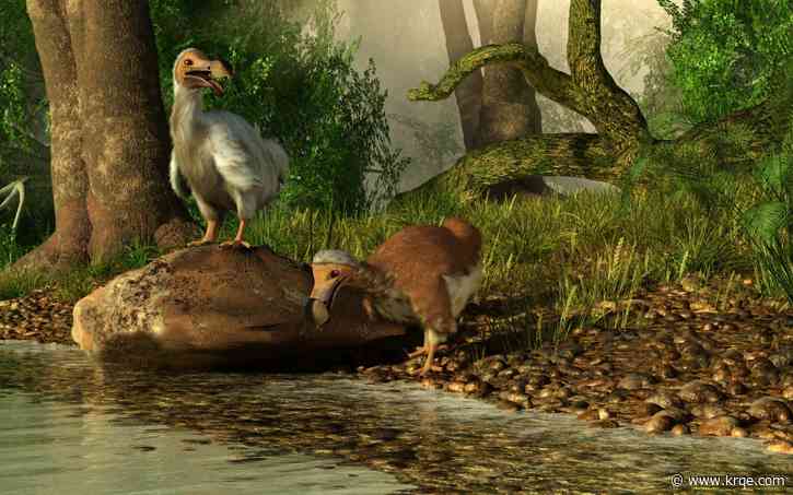 Should we bring back the dodo? De-extinction is a feel-good story, but these high-tech replacements aren’t really ‘resurrecting’ species