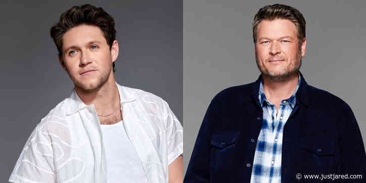 Niall Horan Shows Off His Blake Shelton Impression to Mixed Reviews - Is It Any Good?