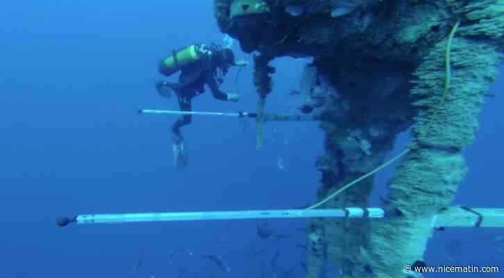Sous l’eau aussi, le bruit nuit à la santé de ceux qui la peuplent. Comment y remédier?