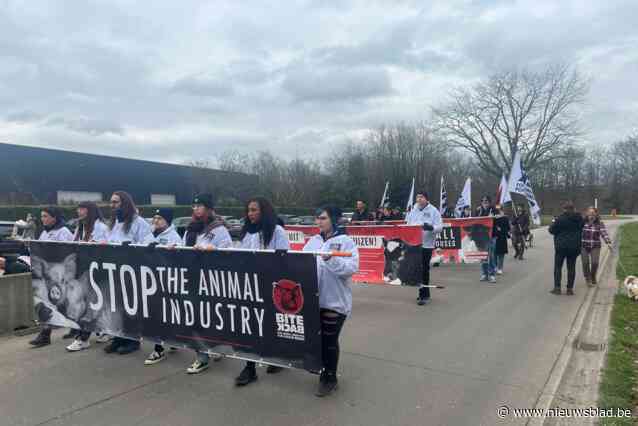 Bite Back trekt opnieuw naar Sus Campiniae: “Hier werden al 12,5 miljoen varkens gedood”