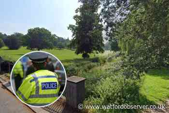 Man attacked in Gadebridge Park in Hemel Hempstead