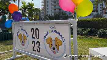 Humane Society of Broward County Kicks Off VCA Walk for the Animals in Fort Lauderdale