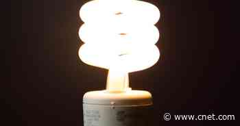 Compact Fluorescent Lightbulbs: Which States Have Banned CFLs?     - CNET