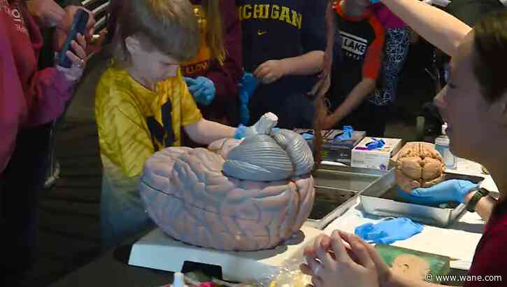 28th Annual Doctor's Day educates children on medicine, health