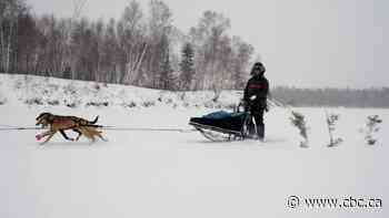'We're just trying to keep this alive': Young dog musher takes part in his 1st race with the help of mentor