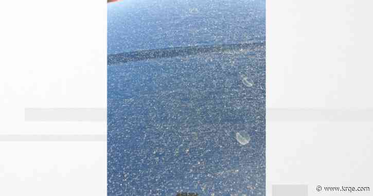 What is mud rain? And why is it on my car?