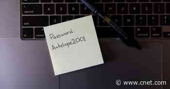 Best Password Manager in 2023     - CNET