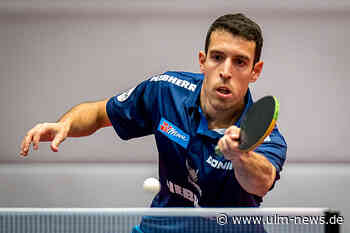 TTC Neu-Ulm chancenlos: TTF Ochsenhausen gewinnt mit 3:0