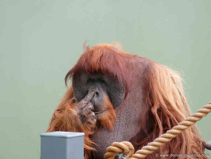 Digging Into Nose Picking and Why We Are Guilty of It