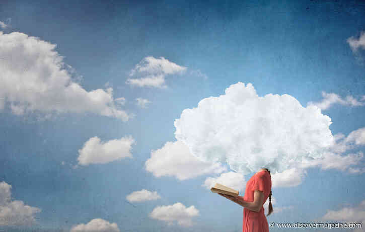 What Is the Default Mode Network?