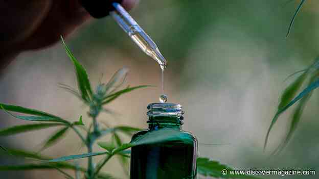 Delta 8 THC Near Me: Where to Buy The Best D8 Products Online