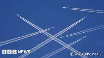 Airlines sue Dutch government over flight cuts