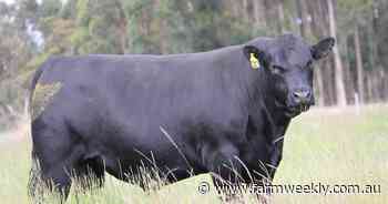 Tullibardine Sandman S32 a sale-topper