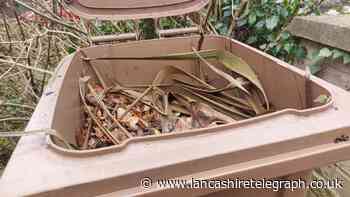 Residents speak out over ‘unfair’ council green waste bin collections